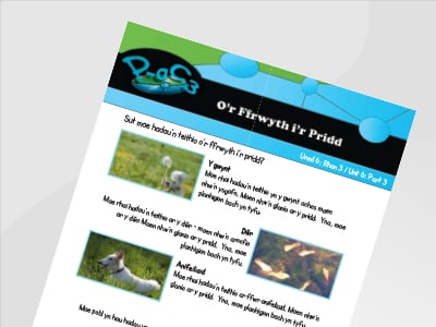 Thumbnail of O'r Ffrwyth i'r Pridd