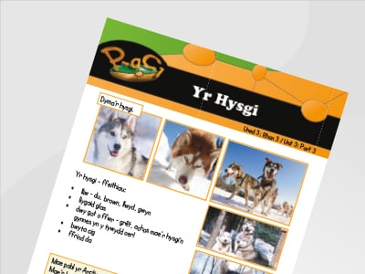 Thumbnail of Yr Hysgi