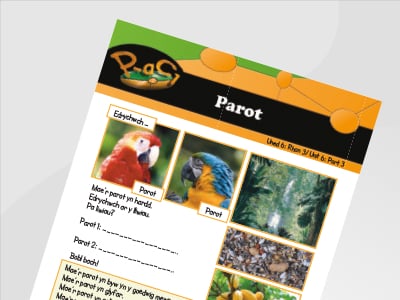 Thumbnail of Parot