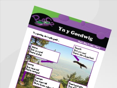 Thumbnail of Yn y Goedwig